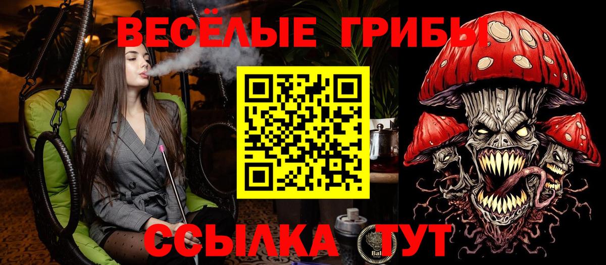 Псилоцибиновые грибы прущие грибы  Вход с VPN  Грязи 